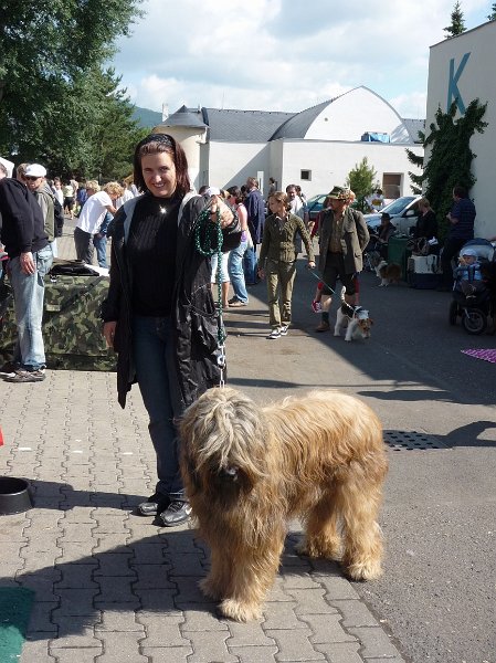 Litomerice 2009 013.jpg